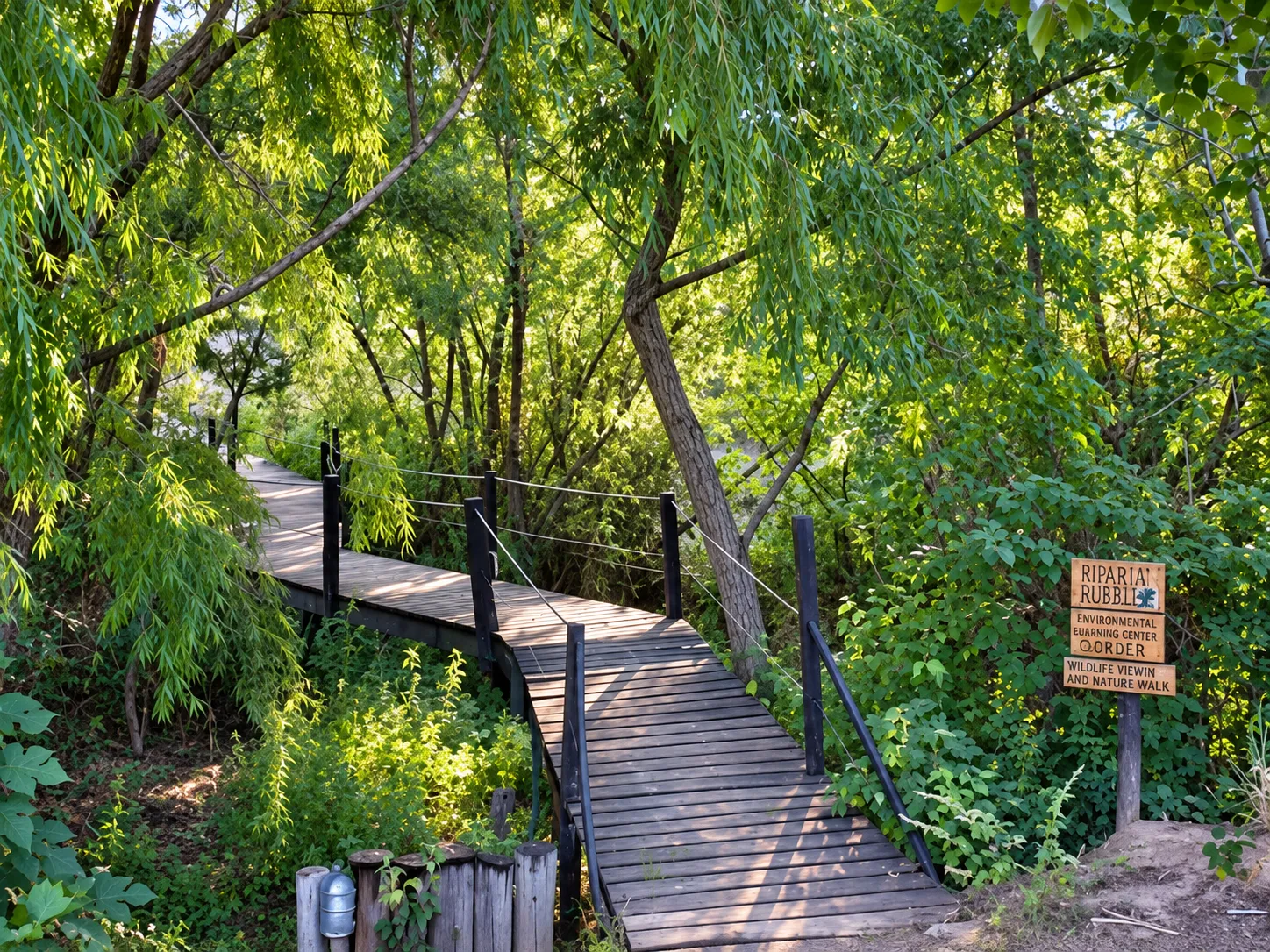 Pasarela de madera entre árboles y vegetación
